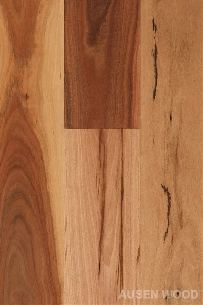 Daintree-Flat Spotted Gum Plank
